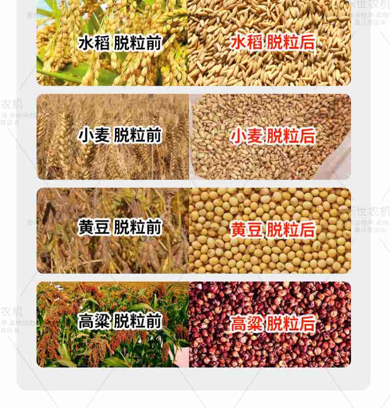 思乐得4月28日首批产品上架第一食品,赶上了“五一”假期的泼天流量。 文汇报记者 徐晶卉摄